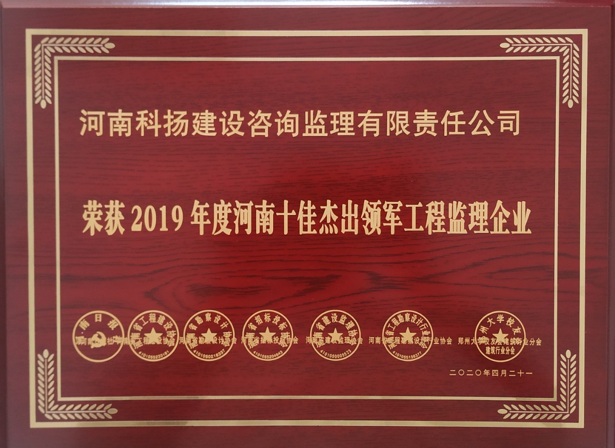 十佳杰出领军企业奖牌.jpg